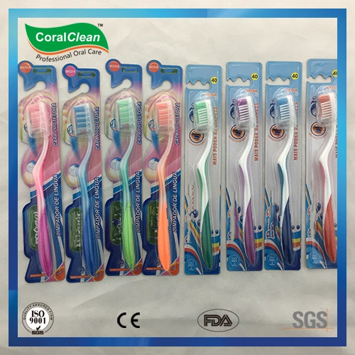 Oral Care Adults′ Colorized Toothbrush with Anti-Slip Handle