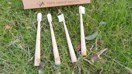 Logo des douanes brosse à dents en bambou pour enfants, soins bucco-dentaires personnels 100% naturels